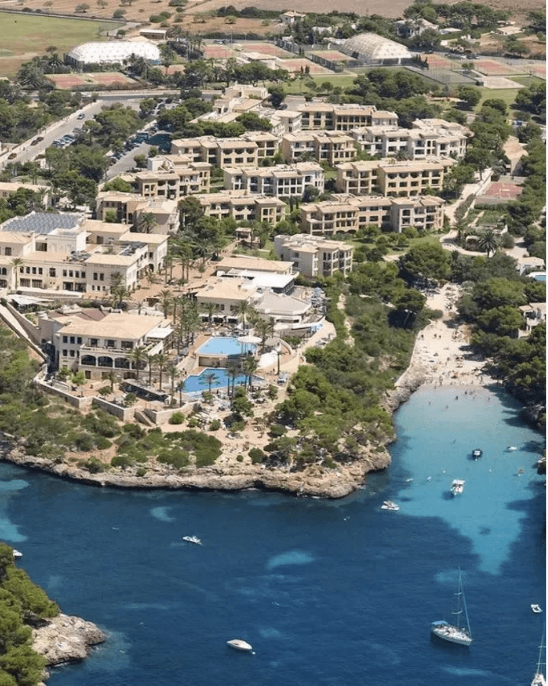 Fortbildung unter Kollegen: Doctos auf der Fortbildungsreise Mallorca 2026